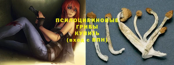 дживик Богородицк