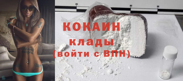 дживик Богородицк