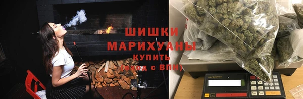 дживик Богородицк