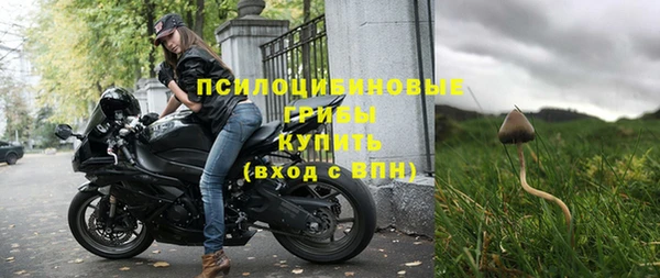 амф Богданович