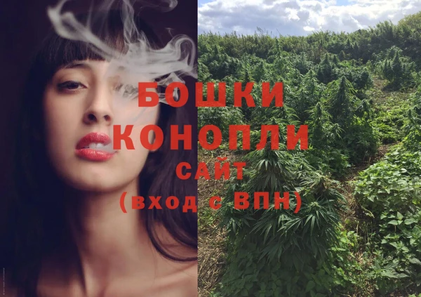 дживик Богородицк