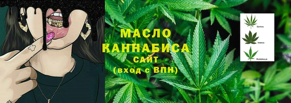 дживик Богородицк