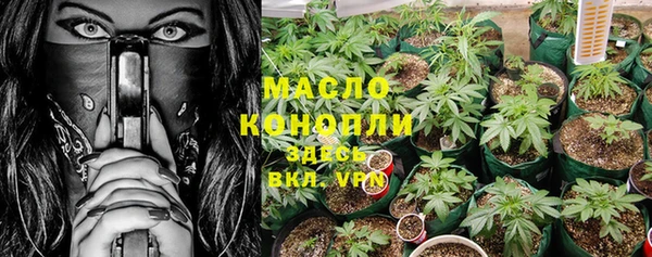 дживик Богородицк